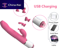 ����� ������� Dongguan Dibe Electronic Technology Co.