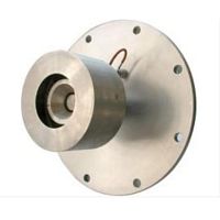 Ion source