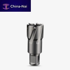 Carbide annular cutter DNT seriesWeldon