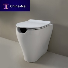 Back to wall toilet AP114RSceramicrimlessfor handicapped