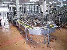 Cheese brining system