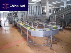Cheese brining system