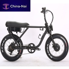 Electric bike for boats