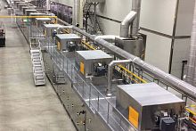 Biscuit production line