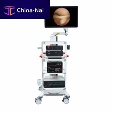 Arthroscopic endoscopy column Standard