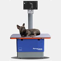 Veterinary X-ray table with tube stand HELIOS