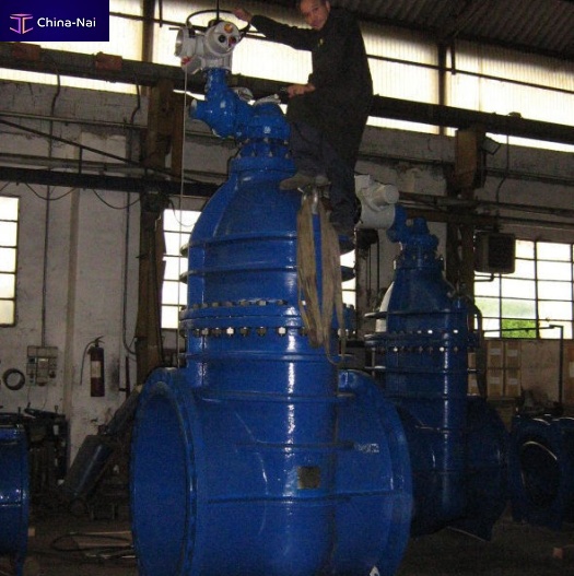 											Gate valve manualelectrichydraulic