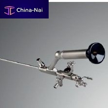 Bent nephroscope with working channel