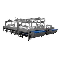 Pasta pasteurizer steamtunnel