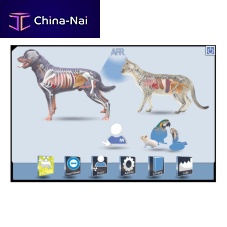 Veterinary radiology software for controlskeletonlower limb