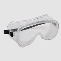 Safety goggles 1005287