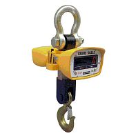 Crane scale with remote readout OCS-S