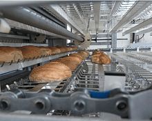 Bread production line