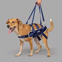 Walking harness Balto® Body Lift veterinarylegfor dogs