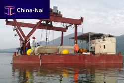 Dock anchoring system