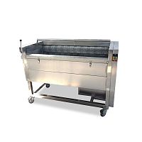 Vegetable food cleaning machine XQPJ seriesbrush