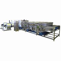 Vegetable blancher TBBC01for the food industrysteambelt