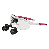 Glasses-type binocular loupe NTZ-BLS-1