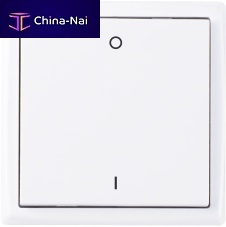 Wireless switch Mini BLErocker2-polesingle-pole