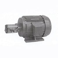 Hydraulic gear pump MFP100 electric
