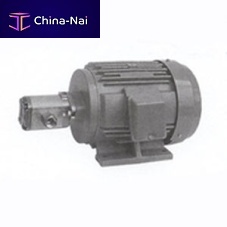 Hydraulic gear pump MFP100 electric