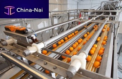 Fruits and vegetable grader 5500roller