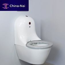 Electronic toilet HYGISEAT wall-hungceramicplastic