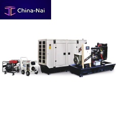 Diesel generator set TMGL-250three-phasestationary50 Hz