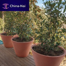 Concrete plant pot CARMEroundhomegray