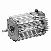 Fan motor ACECIP55
