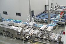 Baguette bread production line automatic