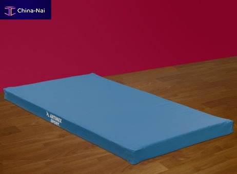 											Exercise mat 238