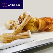 Radiography test phantom FB-A02for CT scanfor MRIwhole body