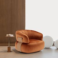 Contemporary armchair Danafabricleatherwooden