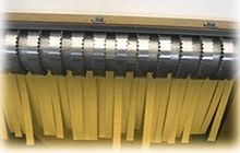 Fresh pasta cutting machine automatic