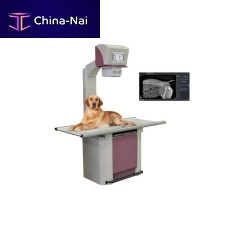 Veterinary X-ray system digitalwith table