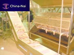 Automatic fish scaling machine DS Seriessemi-automatic