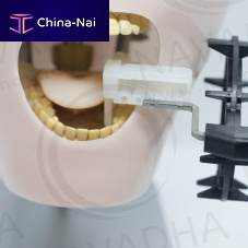 Dental radiography test phantom NA252jaw