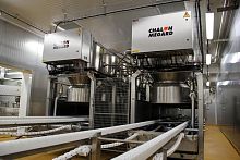Automatic cheese molding machine