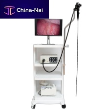 Video veterinary gastroscope HU37Tfor small animalsfor large animalswith working channel