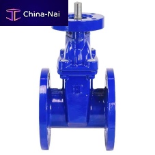 Wedge gate valve D040-00814with handwheelstopregulating