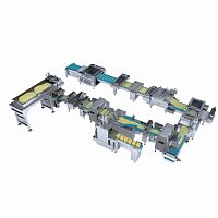 Automatic dough sheeter with cutter