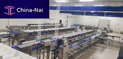 Fish grading machine PRSG-WFGbeltsortingwith conveyor