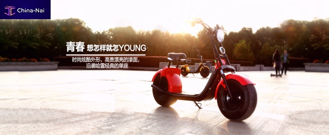 											��������������� "CityCoco Harley"
