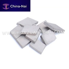 Abrasive segment