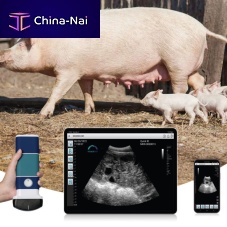 Hand-held veterinary ultrasound system LUS110Cmultipurposefor swinewireless probe