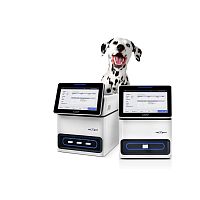 Automatic immunoassay analyzer vetXpert I3veterinaryfT4for antibodies