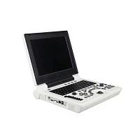 Portable ultrasound system for gynecological and obstetric ultrasound imagingfor abdominal and pelvic ultrasound imagingB/W