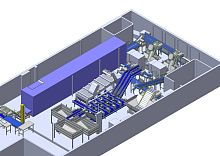 Shrimp processing line