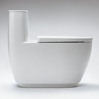 Smart toilet S600 ONE-PIECEone piececeramicrimless